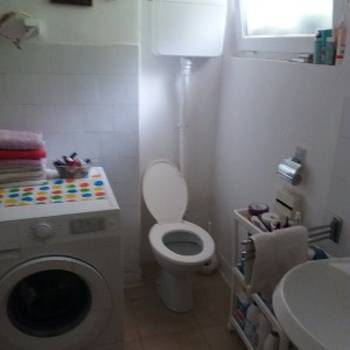 Izdajem sobu u Herceg Novom