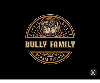 American bully exotic štenci