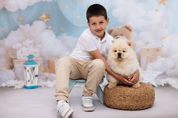 CHOW CHOW zensko stene