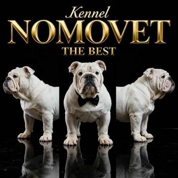 Engleski buldog vrhunski štenci