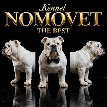 Engleski buldog vrhunski štenci