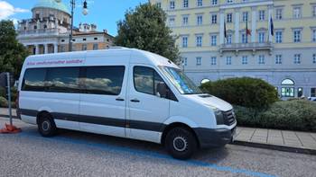 Medjunarodne selidbe