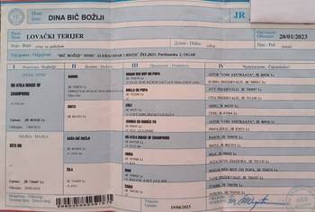 Nemački Lovni terijer