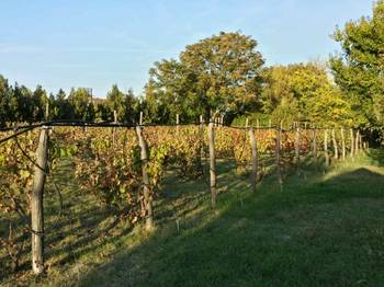 Bio Salaš blizu Subotice