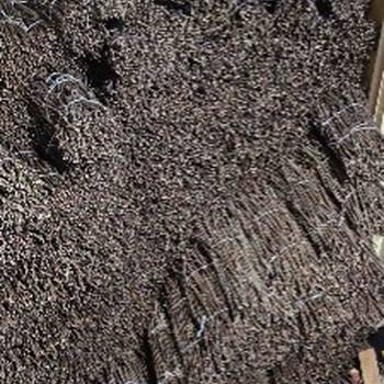 NA prodaju: Isečena Loza 1 KLASE za Kalemljenje (Kober BB)