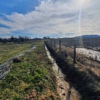 Topola, Gornja Šatornja, njiva 353ara