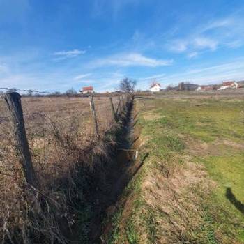 Topola, Gornja Šatornja, njiva 353ara