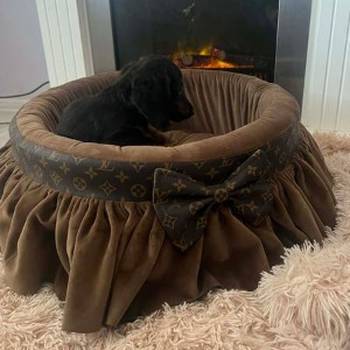 Dugodlaki patuljasti jazavičari