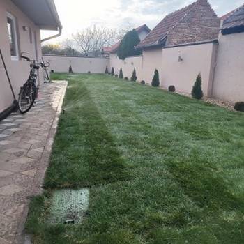 Tepih trava i zalivni sistemi