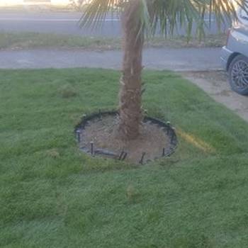 Tepih trava i zalivni sistemi