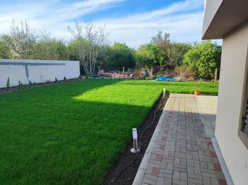 Tepih trava i zalivni sistemi