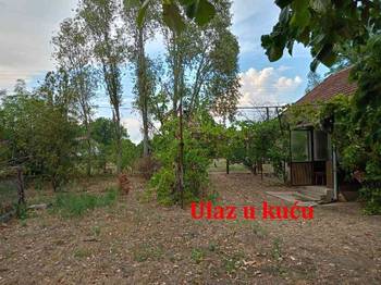 Prodaje se kuća/salaš u Hajdukovu na parceli od 3,5 jutra zemlje