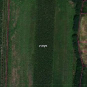 Parcela 1.8hektara (visokonaponska struja) ravna