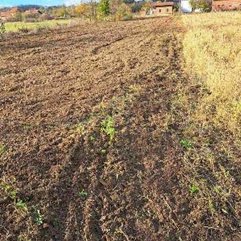 Uslužno freziranje i uredjenje dvorišta