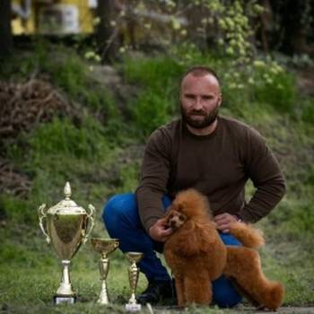 Crveni toy mužjak dostupan za parenje