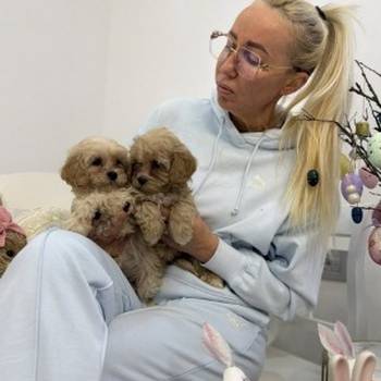 Maltipoo stenci
