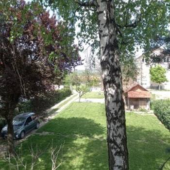 Avala, blizu megamarketa Koka Mar, 200 m2