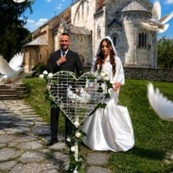 Beli golubovi za svecane prilike